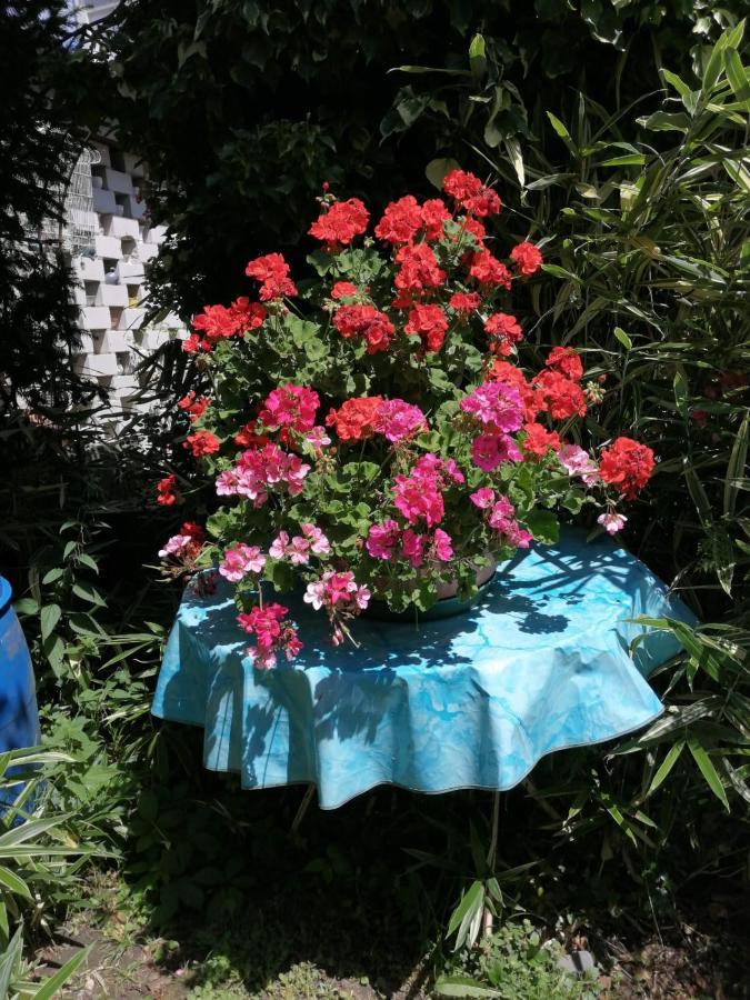 Ferienwohnung Roth Am Naturschutzgebiet Bodensee Eriskircher Ried ภายนอก รูปภาพ